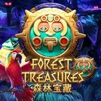  Forest Treasure