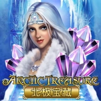  Arctic Treasure